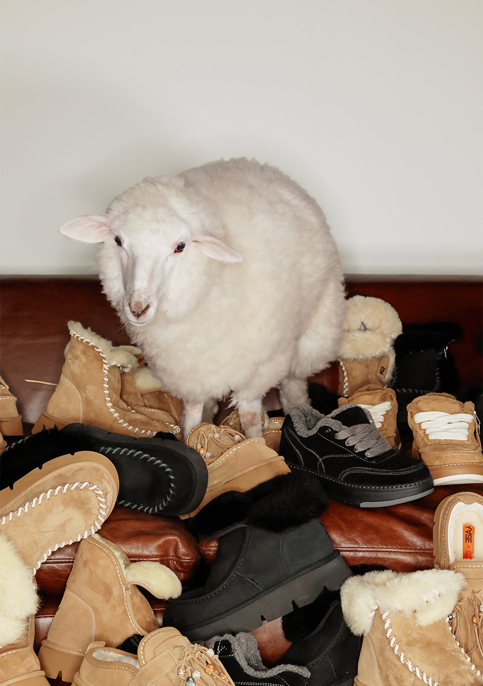 6cm Piping Natural Wool Boots Black