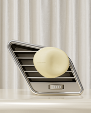 Car Diffuser Bigarico