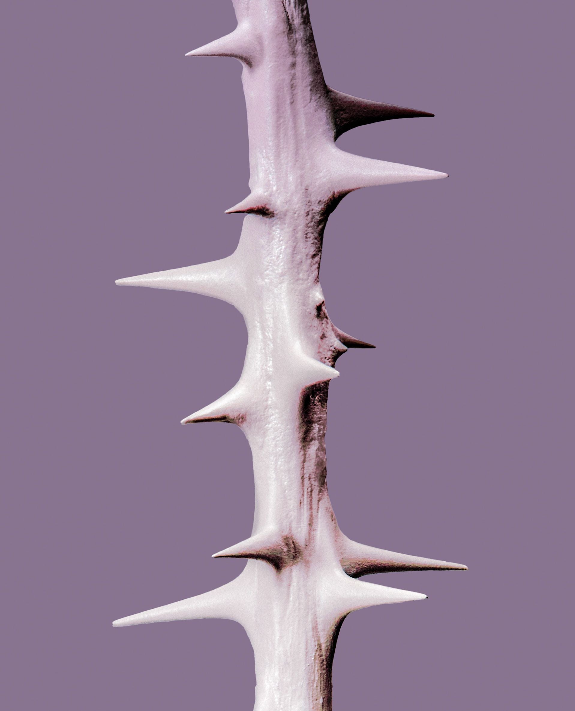 Egg Lip Balm Rosewood Glow